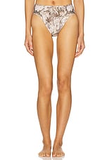 Tamarindo Bikini Bottom