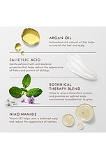 Scalp Balancing Shampoo - thumbnail 6