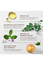 Revitalizing Scalp Tonic Treatment - thumbnail 9
