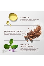 Purifying Pre-wash Scalp Scrub - thumbnail 8