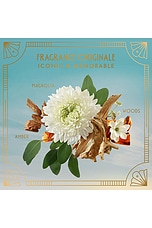 Holiday Hydration Hair Set - thumbnail 9