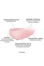 Hydrating Sheer Lip Balm SPF 30 - thumbnail 10
