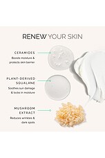 MD Advanced Hydration Creme - thumbnail 5