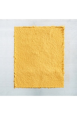 Cordyceps Powder - thumbnail 5