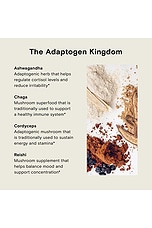 Ashwagandha Powder - thumbnail 8