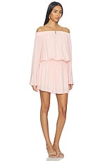 Chandler Mini Dress - thumbnail 5