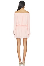 Chandler Mini Dress - thumbnail 6