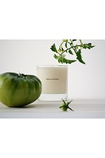 Liane de Tomate Candle - thumbnail 5