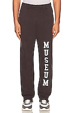 Product image of Museum of Peace and Quiet Varsity Sweatpants. Click to view full details