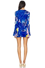 On Hold Phoenix Mini Dress - thumbnail 7