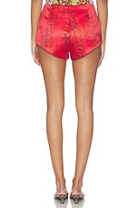 Aka Sukara Hot Shorts - thumbnail 7