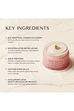 The Rich Moisturiser - thumbnail 7