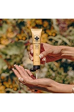 Cactus Hand Cream - thumbnail 6