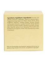 Cactus Body Scrub - thumbnail 7