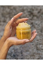Cactus Body Scrub - thumbnail 9