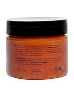 Cactus Body Scrub - thumbnail 5