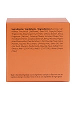 Cactus Body Scrub - thumbnail 7