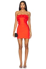 Riya Mini Dress - thumbnail 4