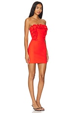 Riya Mini Dress - thumbnail 5