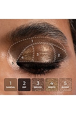 Tan Eyeshadow Palette - thumbnail 10