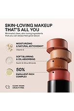 Nudies Matte All Over Face Bronze Color - thumbnail 8