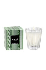 Birchwood Pine Classic Candle - thumbnail 4
