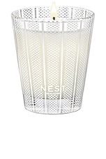 Birchwood Pine Classic Candle - thumbnail 5