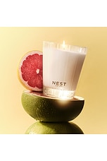 Grapefruit Classic Candle - thumbnail 6