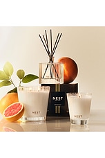 Grapefruit Classic Candle - thumbnail 8