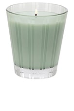 Wild Mint & Eucalyptus Classic Candle - thumbnail 4