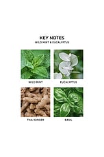 Wild Mint & Eucalyptus Classic Candle - thumbnail 6