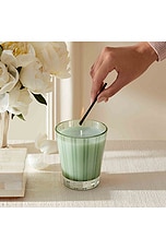 Wild Mint & Eucalyptus Classic Candle - thumbnail 8