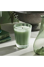 Wild Mint & Eucalyptus Classic Candle - thumbnail 9