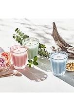 Himalayan Salt & Rosewater Classic Candle - thumbnail 9