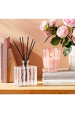 Himalayan Salt & Rosewater Reed Diffuser - thumbnail 7
