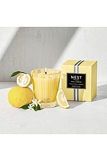 Sunlit Yuzu & Neroli Classic Candle - thumbnail 7