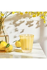 Sunlit Yuzu & Neroli Classic Candle - thumbnail 8