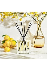 Sunlit Yuzu & Neroli Reed Diffuser - thumbnail 7