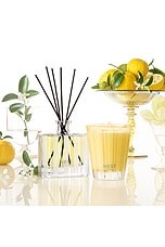 Sunlit Yuzu & Neroli Reed Diffuser - thumbnail 8