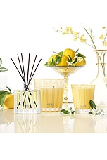 Sunlit Yuzu & Neroli Reed Diffuser - thumbnail 9