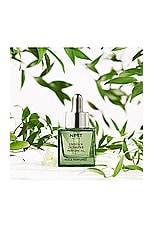 Indian Jasmine Perfume Oil 30ml - thumbnail 6