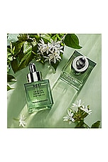 Indian Jasmine Perfume Oil 30ml - thumbnail 7