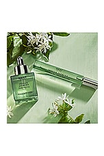 Indian Jasmine Perfume Oil 30ml - thumbnail 8