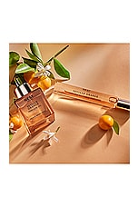 Seville Orange Perfume Oil 30ml - thumbnail 6