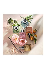 Seville Orange Perfume Oil 30ml - thumbnail 8