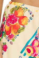 Fruit Mabel Skirt - thumbnail 9