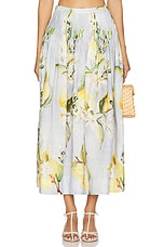 Amabelle Pintuck Midi Skirt