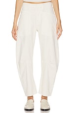 Shon Pant - thumbnail 4