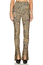 Spat Legging - thumbnail 4