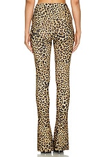Spat Legging - thumbnail 7